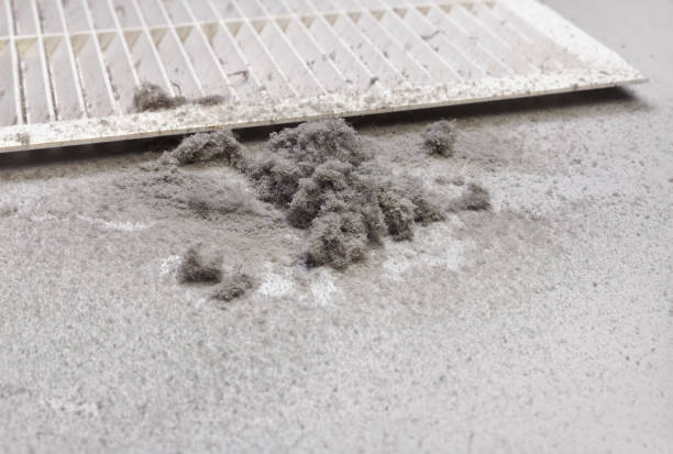 Best HVAC Air Duct Cleaning  in Caldwell, ID