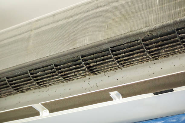 Best HVAC Duct Inspection Services  in Caldwell, ID